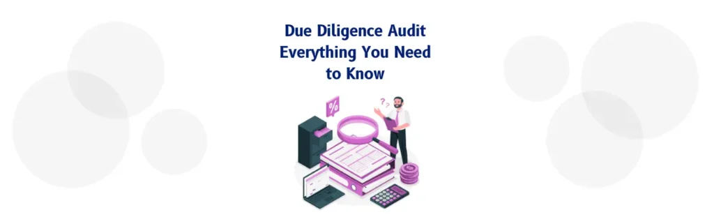 Due Diligence Audit